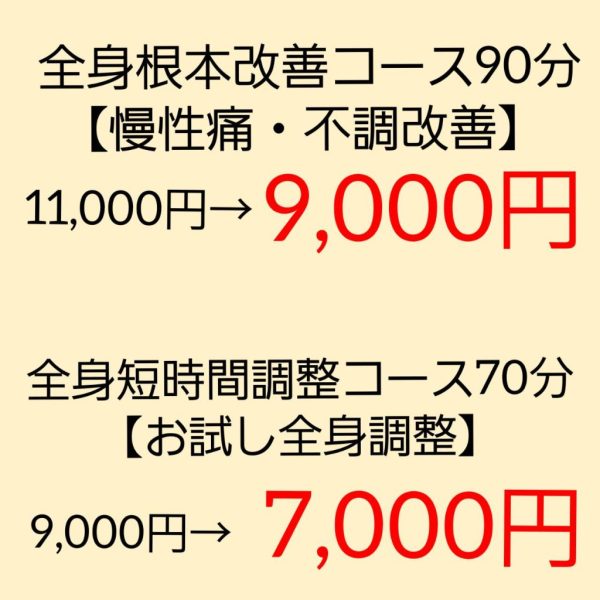 全身根本改善コース　全身短時間調整コース